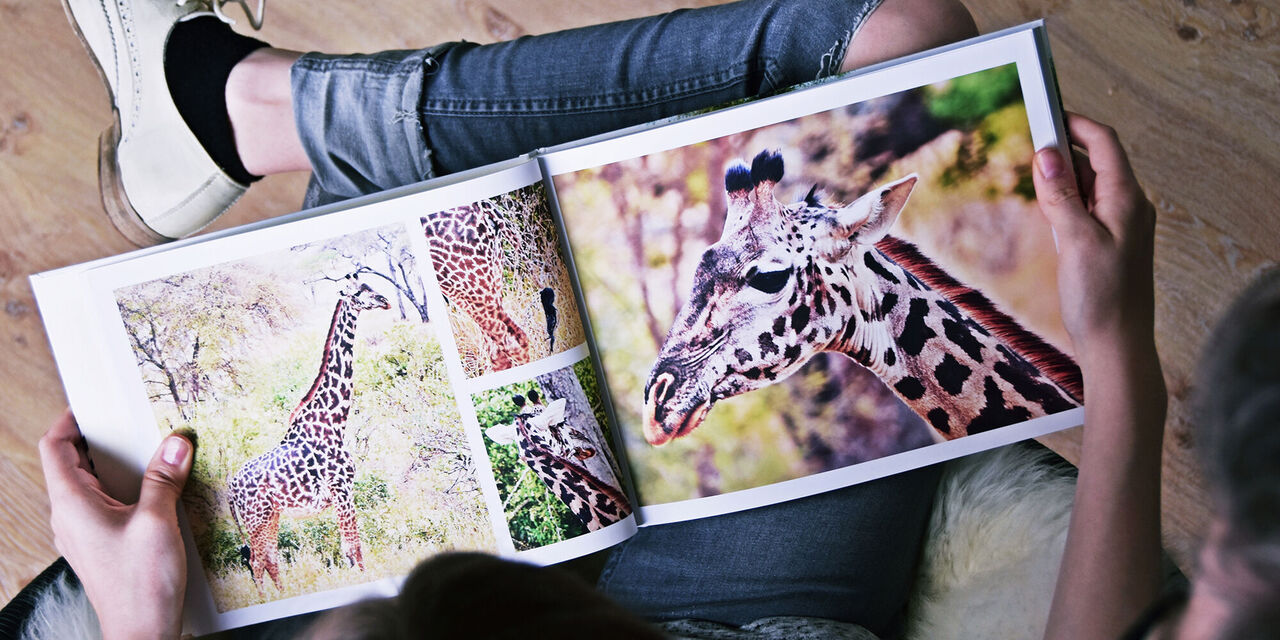 Open double page in the CEWE PHOTOBOOK. You can see pictures of a giraffe.