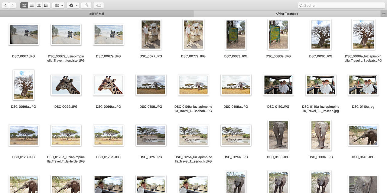 All selected photos are grouped in an extra folder.